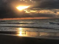 Direct Ocean Front Ground Floor Paradise W/Pool!