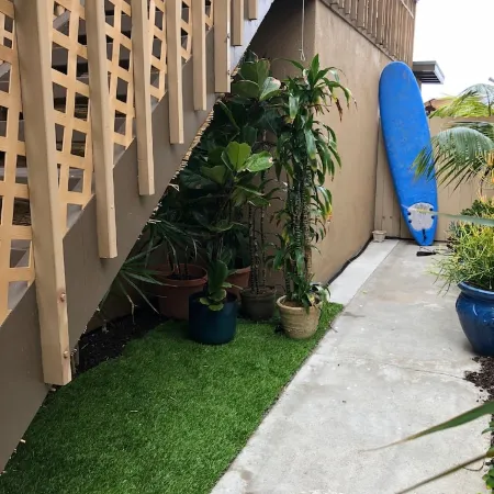 Oceanfront Dolphin Views at the Edge of the USA. 2-Bed 1-Bath Pet-Friendly.