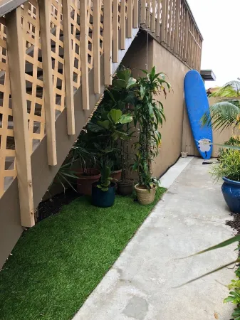 Oceanfront Dolphin Views at the Edge of the USA. 2-Bed 1-Bath Pet-Friendly.