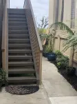 Oceanfront Dolphin Views at the Edge of the USA. 2-Bed 1-Bath Pet-Friendly.