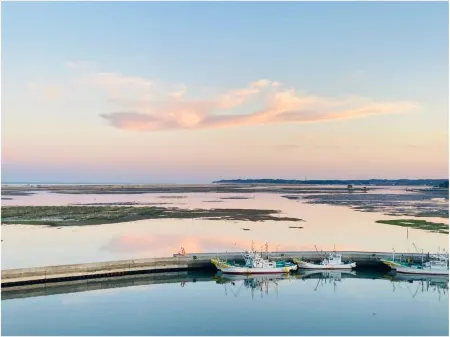 Hotel Minatoya Отели в г. Сома