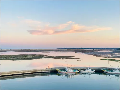 Hotel Minatoya Các khách sạn ở Sōma