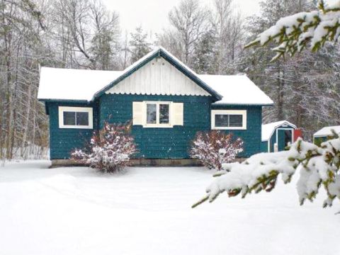 ❤️New! 2.5 mi to Whiteface, ADK Cabin w/ Fire pit