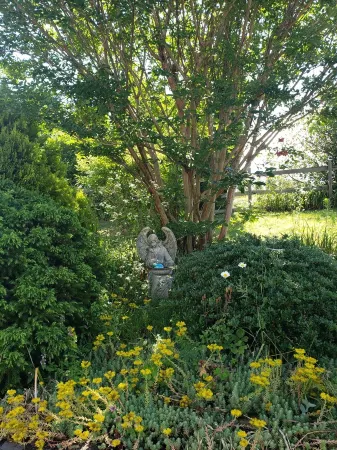 High Heaven 4 bed 3ba