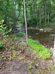 Charming cottage retreat by Shenandoah National Park and Madison Run Trailhead