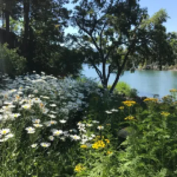 Waterfront Flathead Lake Home(not condo)~ Decks~ Dock~Quiet Neighborhood