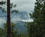 Peek at the Peaks~ private cabin with stunning mountain views & Starlink WiFi - Chalets