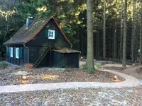 House in Three Annen Hohne (in the National Park) to 4persons Hotels in Elbingerode (Harz)
