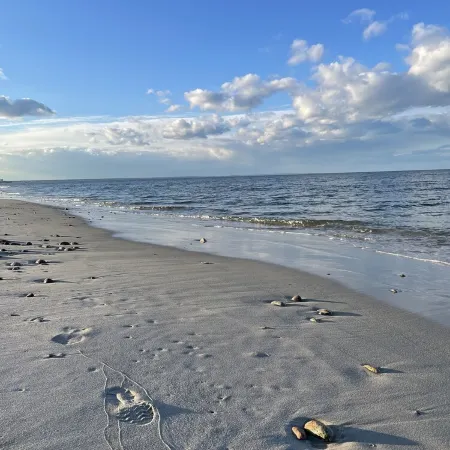Cozy Oceanfront Cottage with Your Own Beach-No Walking Needed!