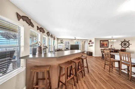 Come watch the dolphins off our NEW fishing pier