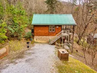 NEW! Snuggle Bear Cabin in the Heart of the Smokies! Hotels near حديقة جبال غريت سموكي الوطنية