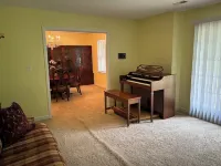 Hidden gem in the woods