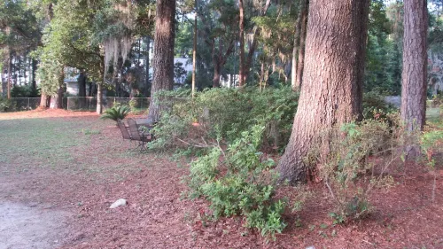 Bring the boat and water toys!Riverfront boatdock pool kayaks  gamerm 6/5bd/bath Hotels in Johns Island