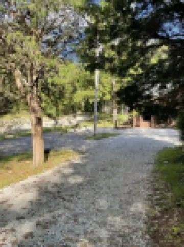 Rustic cabin just outside of Madison!