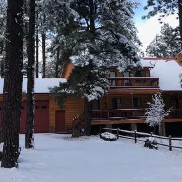FAMILY SIZE CABIN IN THE PINES