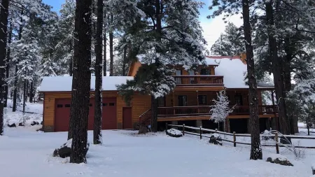 FAMILY SIZE CABIN IN THE PINES
