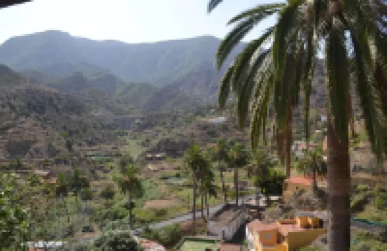 C. Rural Risco Padrón: Beautiful old house in an environment of total tranquility