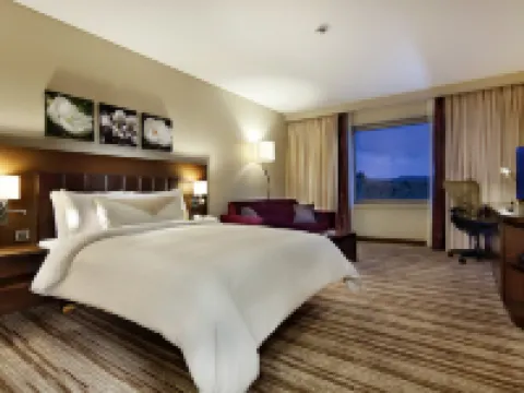 Hilton Garden Inn Mardin Mardin otelleri