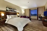 Hilton Garden Inn Mardin Hôtels à proximité de : Nahıl Dükkan Mardin