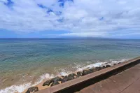 Maui Ocean Beach Front Amazing Views Thanksgiving Special 275 Nightly