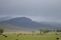 A peaceful easy stay for your Southern Utah Getaway! Hotels in Piute County