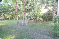 Luxurious 3 bedroom home Hotels near Warm Mineral Springs Park