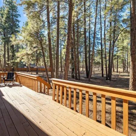 Pinewood Lodge / Backs to Forest / Near Downtown!
