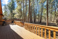 Pinewood Lodge / Backs to Forest / Near Downtown!
