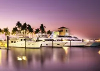 Catalina Cantina by Tampa Bay Hotspots & Airport!