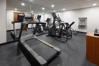 Holiday Inn Express & Suites LEESBURG - HISTORIC DISTRICT by IHG - Træningscentre