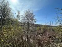 Pure nature - forest vacation in the Tiny House