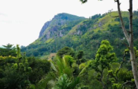 埃拉出租車酒店