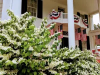 Allegiance Bed and Breakfast Hotels in Geneseo