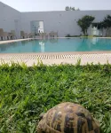 Casa bella vita Tunisia Italia Hotels in Bir Bou Rekba