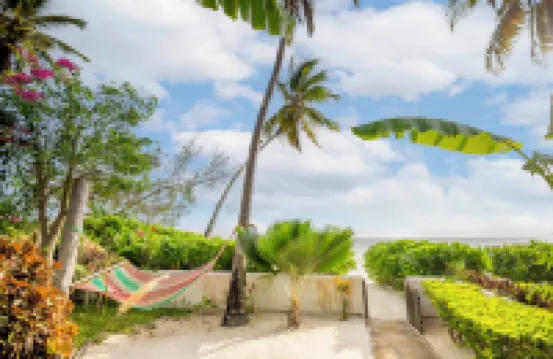 Surfescape Zanzibar Hotels in 