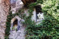 Casa Isola