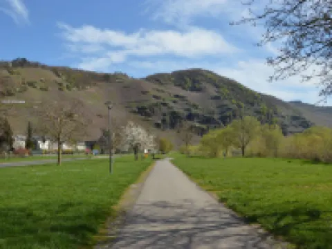 Classy Holiday Home in Rzig Near Forest Hotels in Urzig