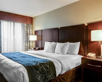 Comfort Suites Near Hot Springs Park Hotels in 