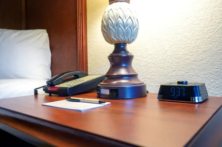 Rosen Inn at Pointe Orlando