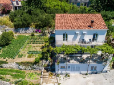 Apartments Cypress Sea Cove Hotels in Slano
