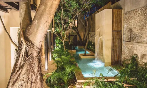 TreeHouse Boutique Hotel - Adults Only
