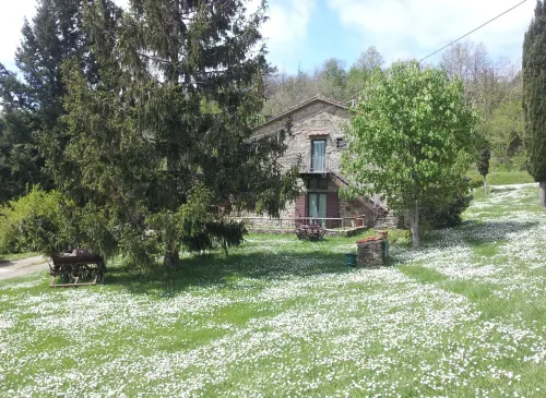 Exclusive Apartment with Fireplace