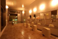 Echigoya Ryokan Hotels in Ogano