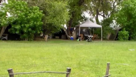 Hippo Island Okavango Delta