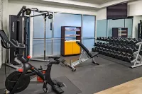 希爾頓安泊飯店-聖路易斯機場 - 健身房