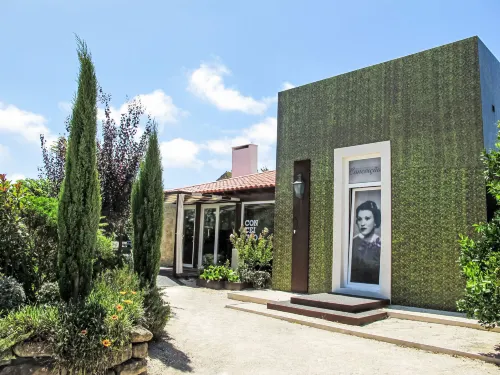 Casa Conceição Hotels in Cela