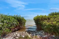 Lemon Bay Escapade