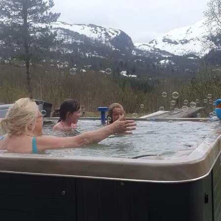 Voss Fjellstove Rongastovo