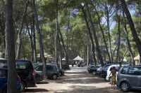 Pine Beach Pakostane - All Inclusive Light - parking