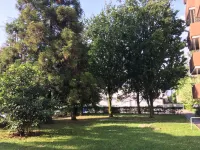 Bed and Breakfast Bio Salix